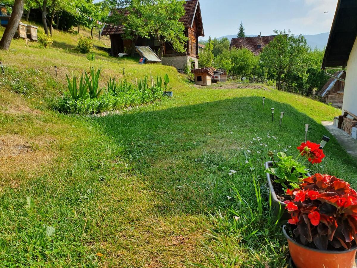 Apartman Draga Bed and Breakfast Mokra Gora Exterior foto